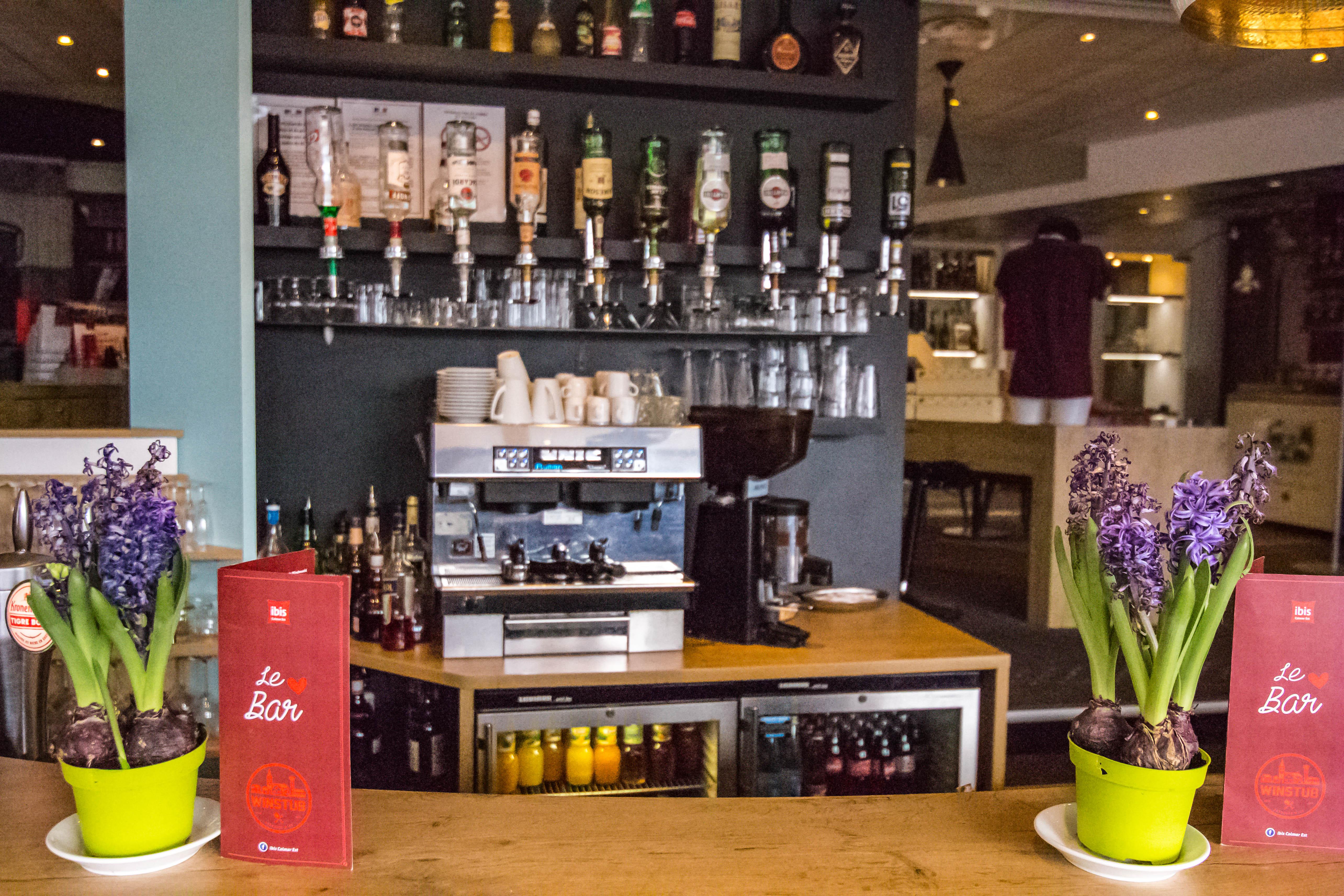 Ibis Colmar Est - Hotel Restaurant En Alsace オルブール＝ヴィール エクステリア 写真